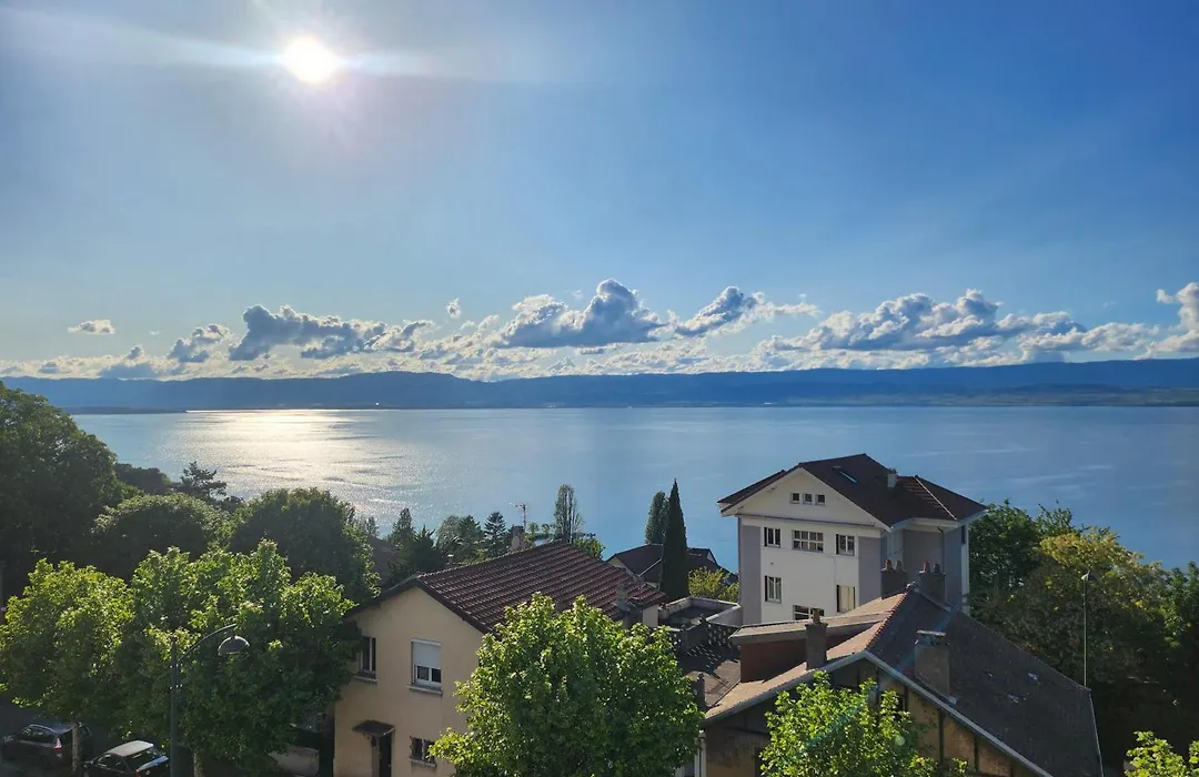Hôtel Savoie Leman-1